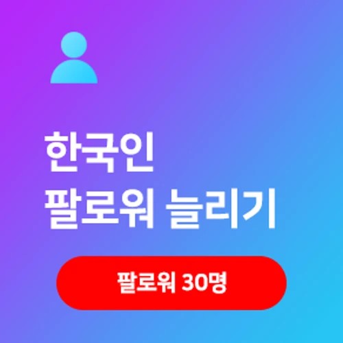 리얼 한국인 인스타 팔로워 늘리기