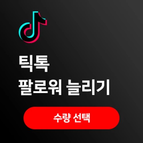 틱톡 팔로워 늘리기