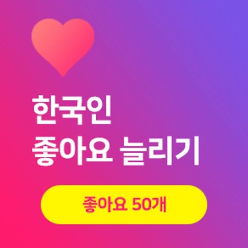 리얼 한국인 인스타 좋아요 늘리기